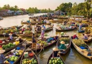 Mekong Delta Tour in 2 Days